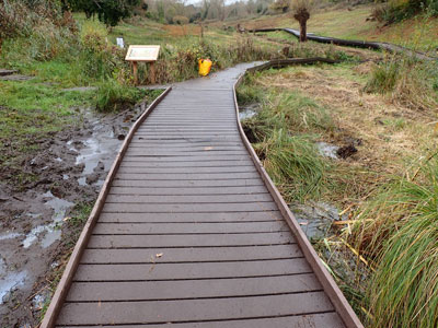 Repaired boardwalk
